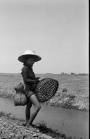 post-69759-008260200 1281051711_thumb.jp