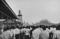 post-69759-022428200 1281012854_thumb.jp