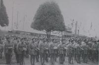 post-69759-028579600 1280646799_thumb.jp