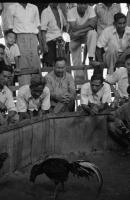 post-69759-030145800 1281050836_thumb.jp