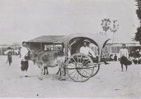 post-69759-046797600 1281005557_thumb.jp