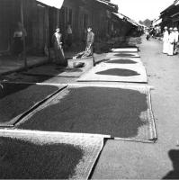 post-69759-046882700 1280635347_thumb.jp