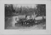 post-69759-047697100 1281013965_thumb.jp