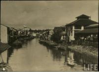 post-69759-047961100 1281014037_thumb.jp