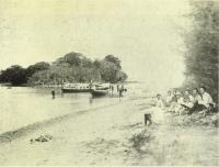 post-69759-050093100 1281005643_thumb.jp