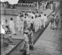 post-69759-053146700 1281013778_thumb.jp