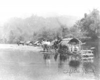 post-69759-056383700 1281013129_thumb.jp