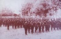 post-69759-063016600 1280731505_thumb.jp