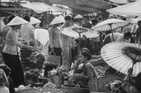 post-69759-065187700 1281057482_thumb.jp