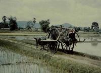 post-69759-067318200 1281358830_thumb.jp