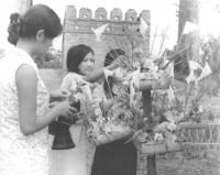 post-69759-075759800 1281013264_thumb.jp