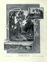 post-69759-077532300 1281568051_thumb.jp