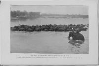 post-69759-084003500 1281013947_thumb.jp