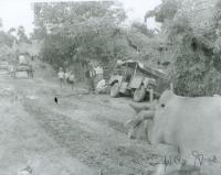 post-69759-084348400 1280646101_thumb.jp