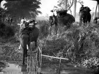 post-69759-085941900 1281490826_thumb.jp