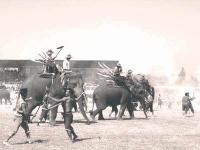 post-69759-087827400 1280731002_thumb.jp