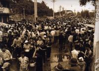 post-69759-091818700 1281051181_thumb.jp