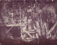 post-69759-094613800 1281409134_thumb.jp