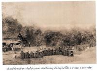 post-69759-095487400 1280646894_thumb.jp