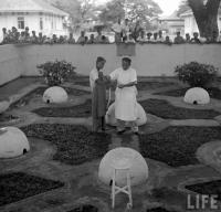 post-69759-095817100 1281013661_thumb.jp