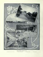 post-69759-097937300 1281568032_thumb.jp