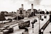 post-69759-097940800 1281057490_thumb.jp