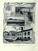 post-69759-099214200 1281568000_thumb.jp