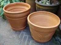 post-78826-007322200 1282818026_thumb.jp