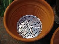 post-78826-095482500 1282818043_thumb.jp