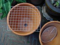 post-78826-096502600 1282818052_thumb.jp