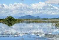 post-85461-062847400 1282051776_thumb.jp