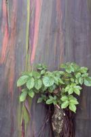 post-103093-0-90768800-1313499031_thumb.