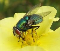 post-118262-0-09798500-1313519556_thumb.