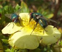 post-118262-0-15031000-1313519715_thumb.