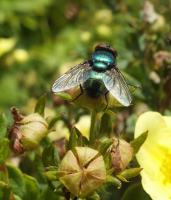 post-118262-0-88406600-1313519660_thumb.