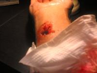 post-15958-0-73135400-1312250031_thumb.j