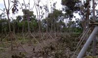 post-20966-0-74460600-1312710485_thumb.j