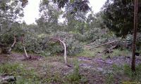 post-20966-0-87418800-1312709982_thumb.j