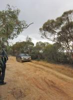 post-80555-0-61622000-1314238070_thumb.j