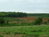 post-126208-0-05240200-1345924235_thumb.