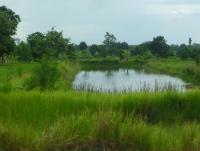 post-126208-0-46945200-1345924902_thumb.