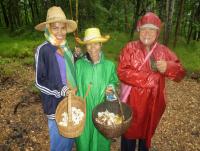 post-126208-0-50679000-1345924310_thumb.