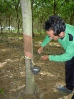 post-126208-0-54685900-1345924607_thumb.