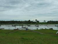 post-126208-0-73953700-1345924626_thumb.