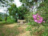 post-126208-0-82451900-1345924332_thumb.