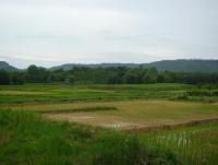 post-126208-0-91182200-1345924243_thumb.