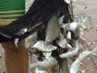 post-126208-0-93820800-1345924622_thumb.