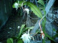 post-146250-0-65799000-1344232486_thumb.