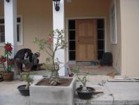 post-19542-0-15664500-1345957810_thumb.j