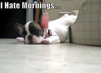 post-40226-0-33538500-1344067220_thumb.j